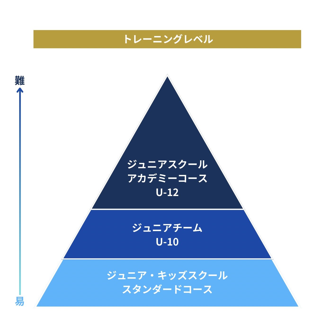 2025年度アカデミーコースU-12募集開始！